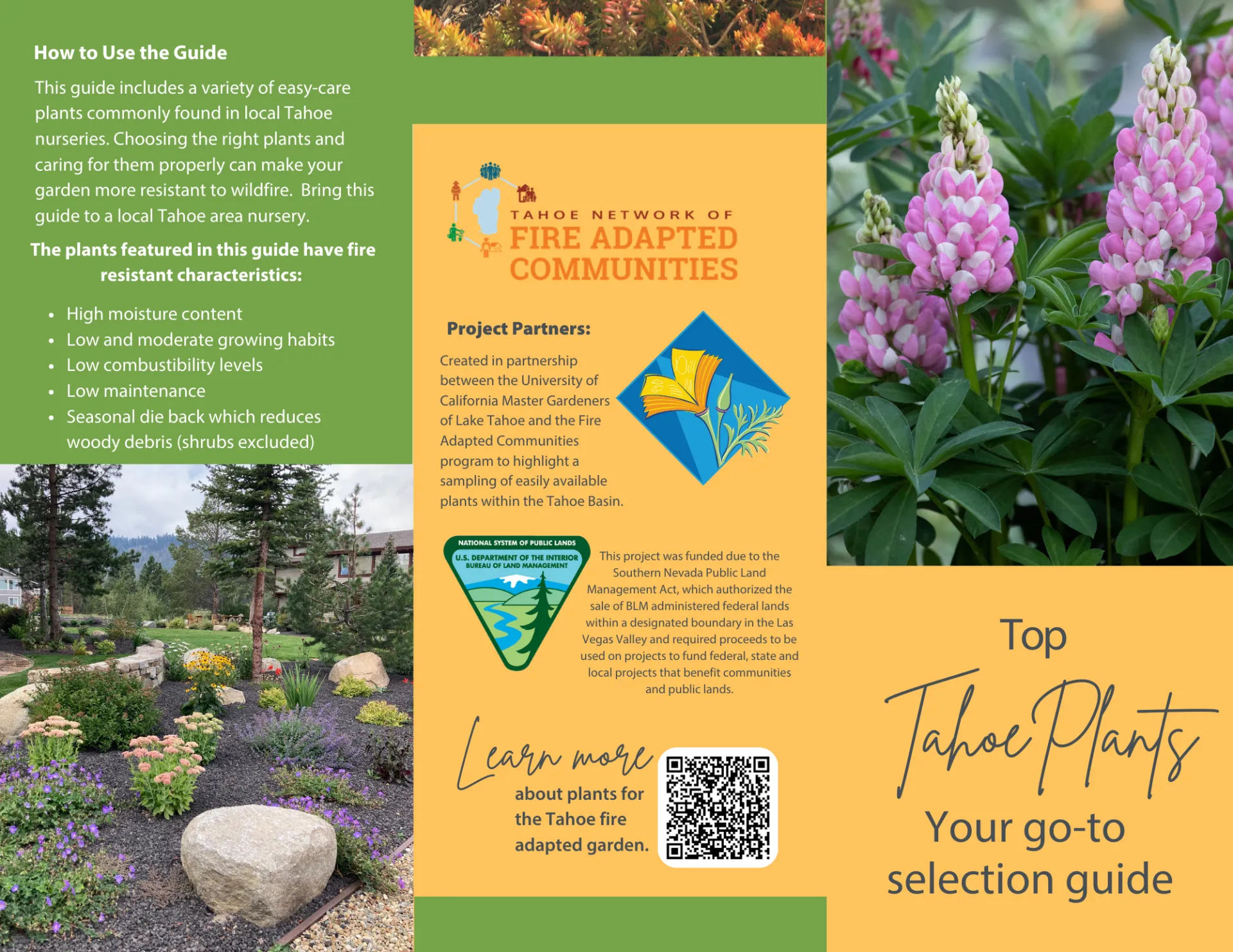 Outside of Top Tahoe Plants Brochure