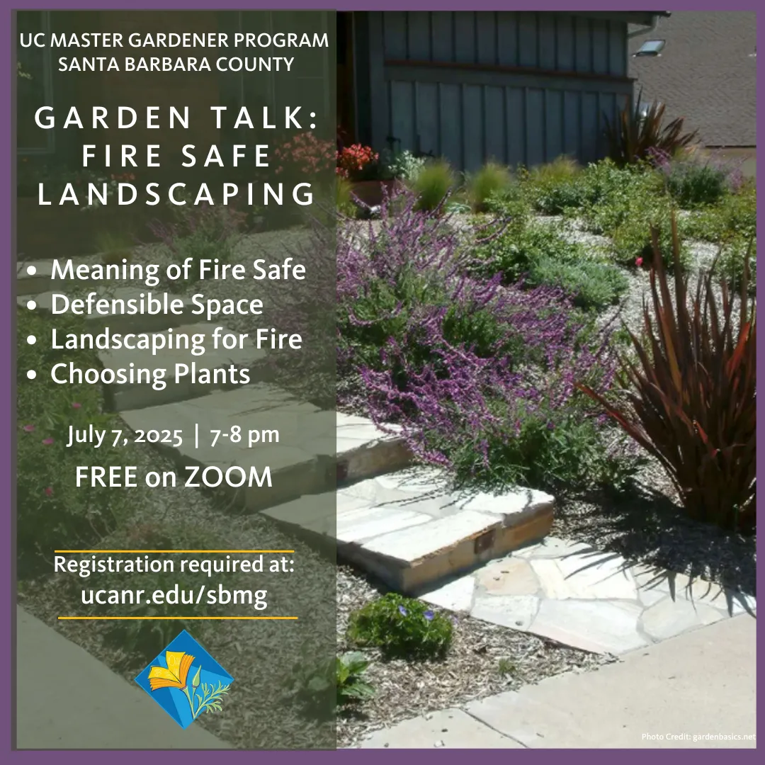 Picture of fire safe landscape