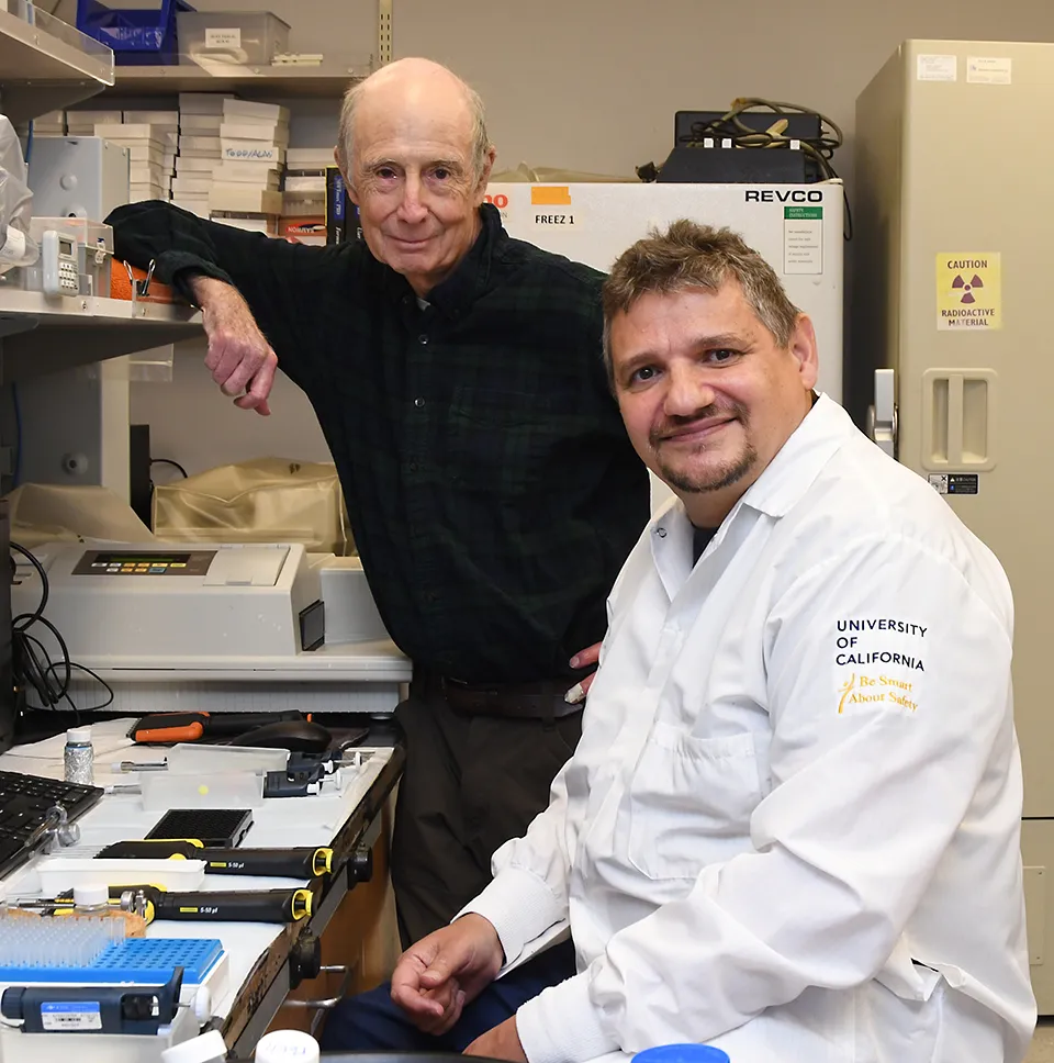 UC Davis distinguished professor Bruce Hammock (left) and Christophe Morisseau of the Hammock lab. (Photo by Kathy Keatley Garvey)