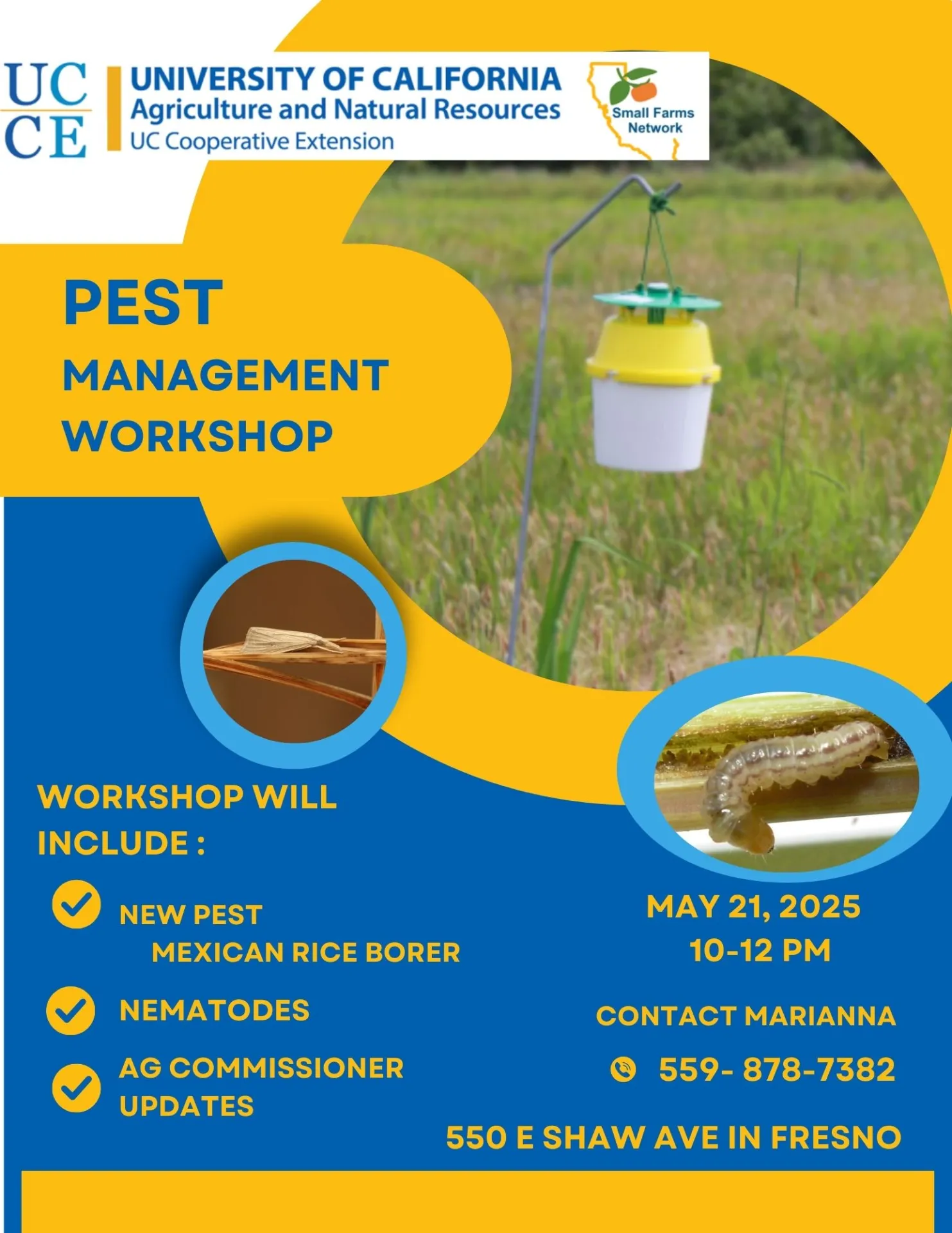 A blue and gold flyer with insects and insect traps