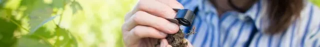 Soil under a magnifying glass.