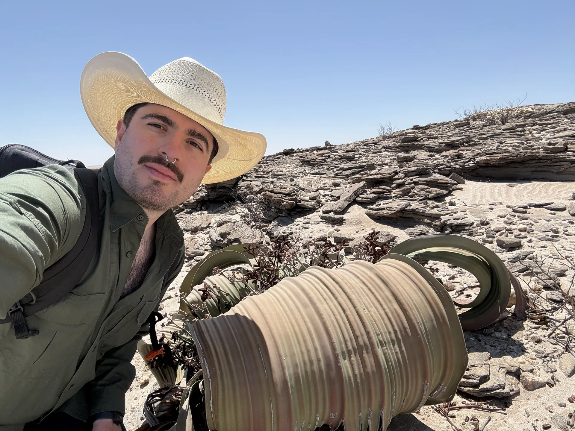 Allan Cabrero, a postdoctoral fellow at the Smithsonian, studies robber flies.
