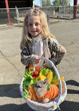 Fur and Feathers Rabbit Carrot