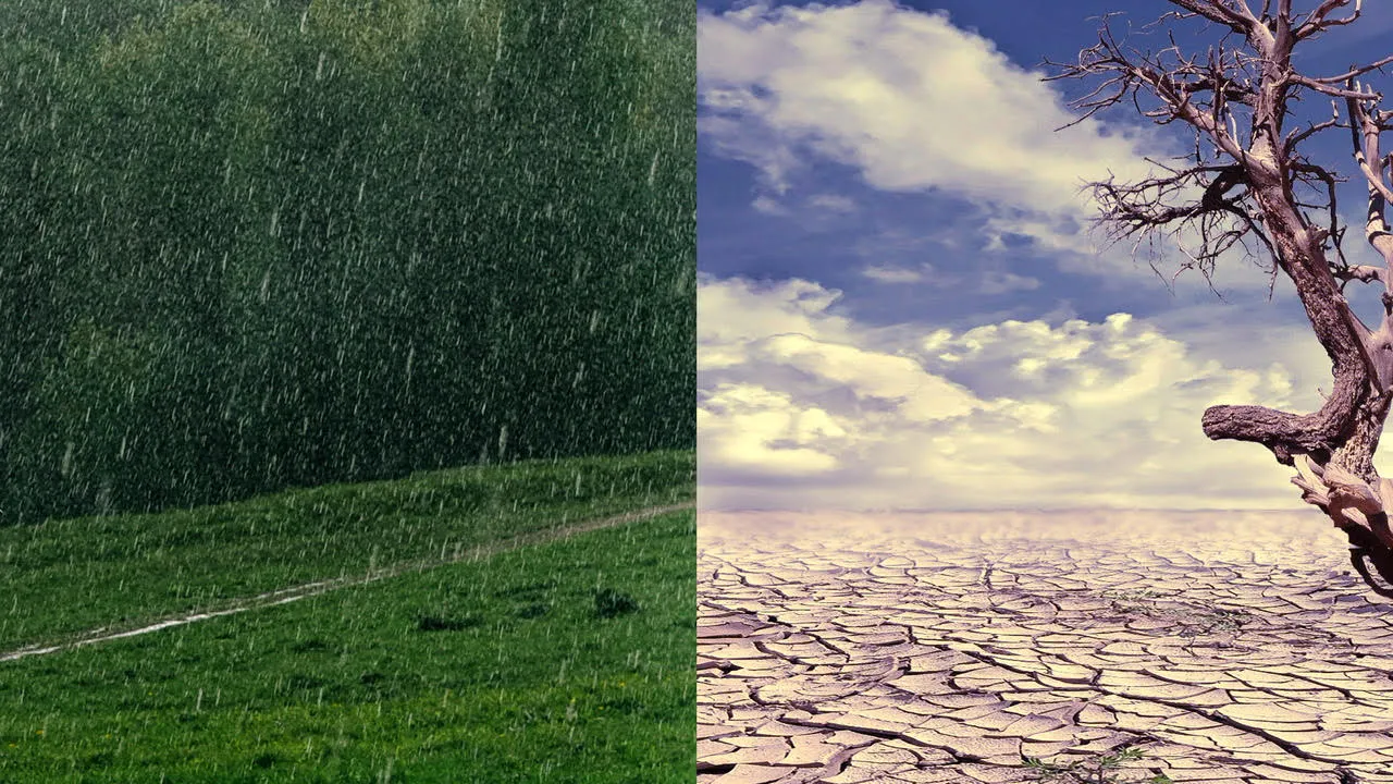 Climate change and your garden banner