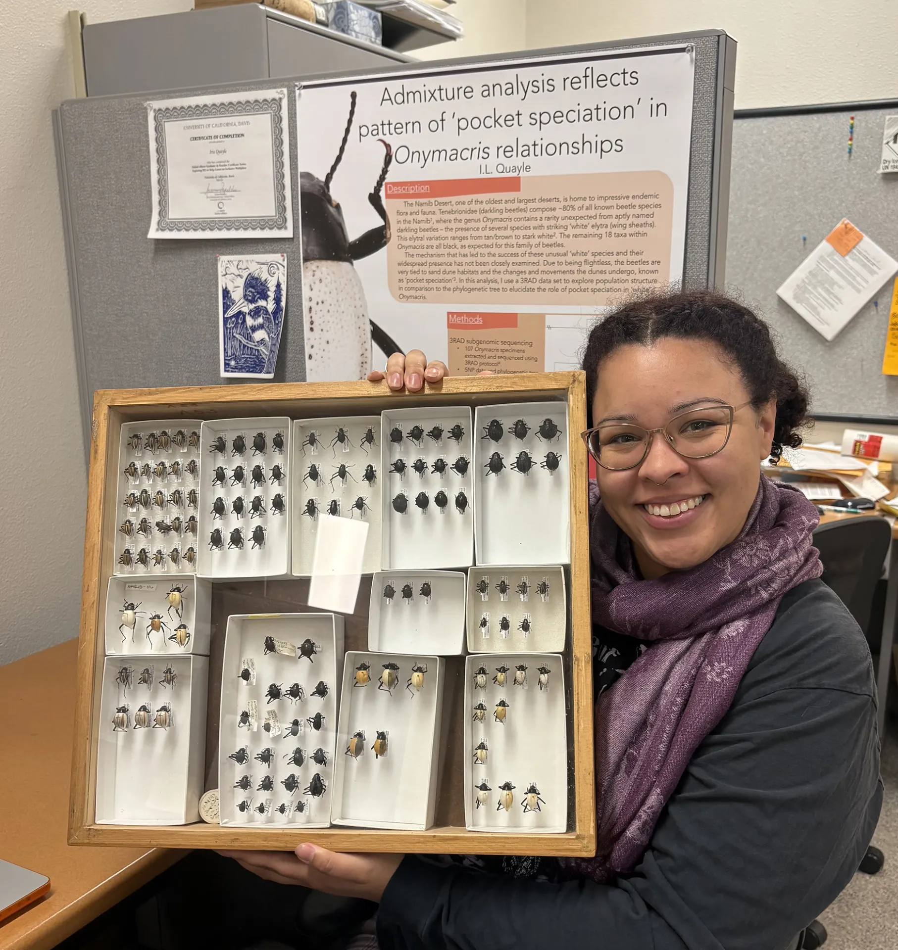UC Davis doctoral student Iris Quayle is heading to Africa to research darkling beetles.