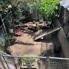 chicken yard with coop and ladder