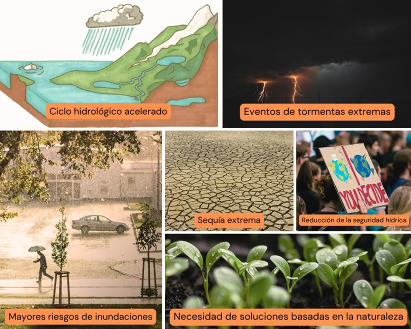 Los Impactos del Cambio Climático en la Gestión de Aguas Pluviales