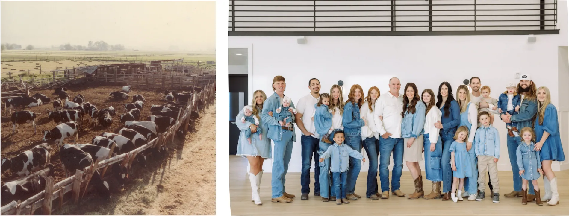 Dairy cows in lot on left, Smith family on right of 2-photo collage