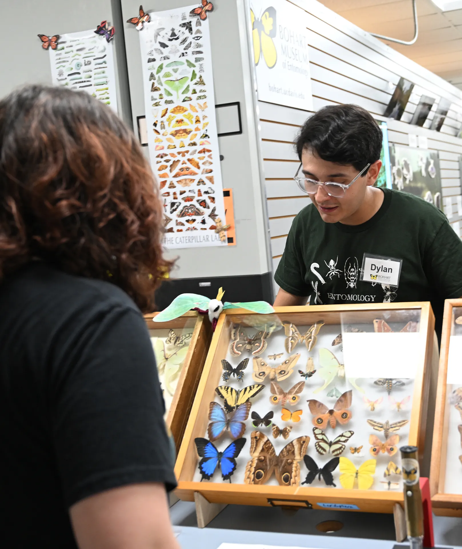 UC Davis entomology major Dylan Vera answering questions about moths. (Photo by Kathy Keatley Garvey)