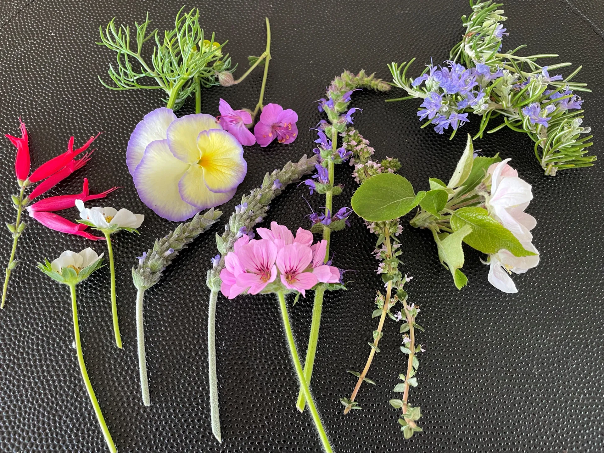 Edible flowers
