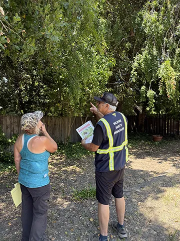 Firewise Ambassador in Action - Steve Danziger