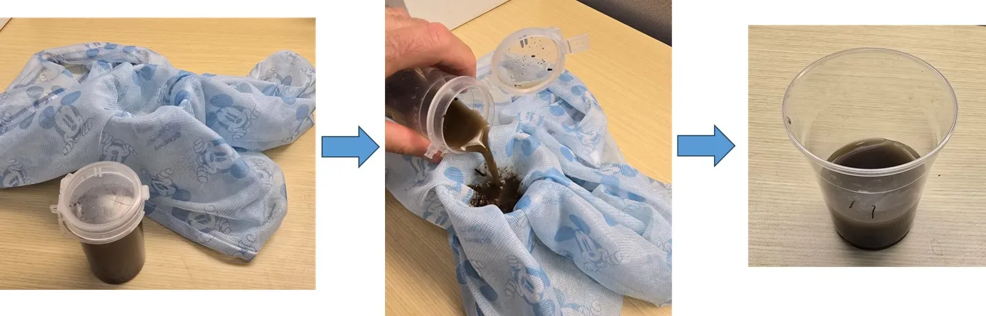 Setting up the germination index test of compost maturity