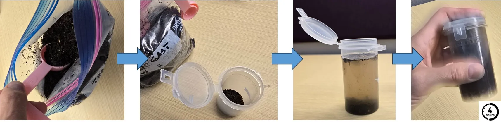 Setting up the germination index test of compost maturity