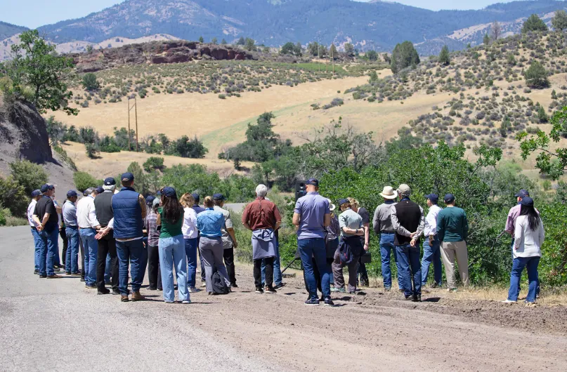 A large group stands on roadside out in the country