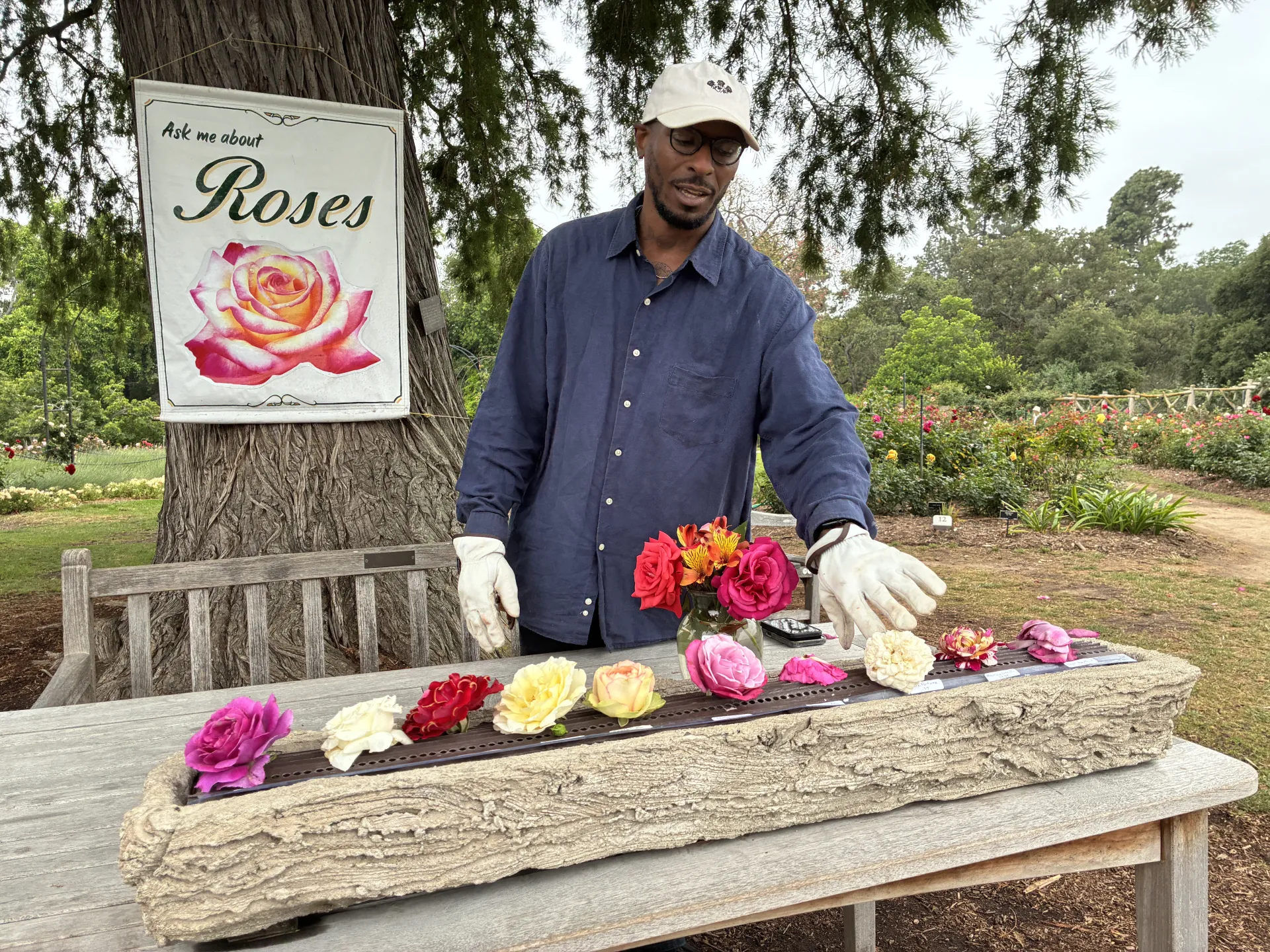 A man gestures toward an assortment of picked roses on a table.