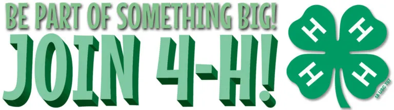 Join 4-H