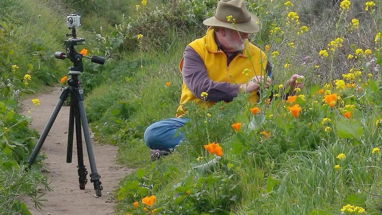 Marshall arranges orange poppies an yellow flowers. On the left is his camera on a tripod.