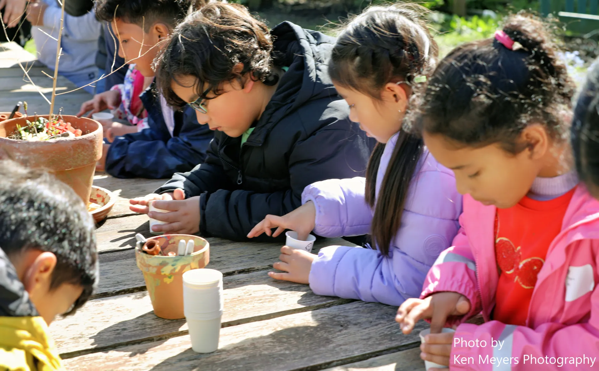 Planting a pea seed to take home