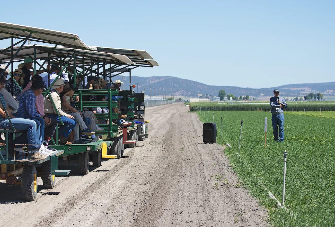 On the left is a tram filled with people listening to the man in the green crop field speak