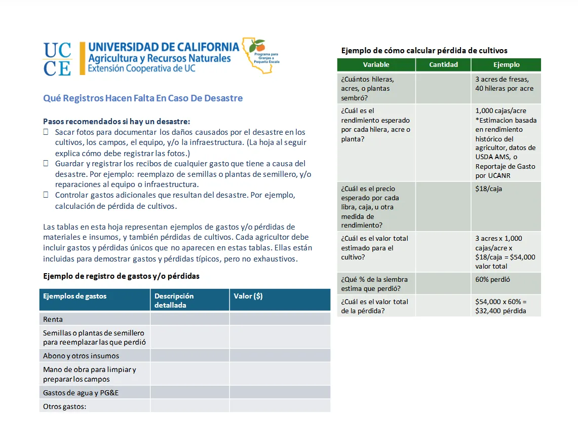 Record keeping in Spanish