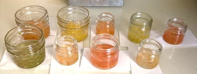 Seeds soaking in jars