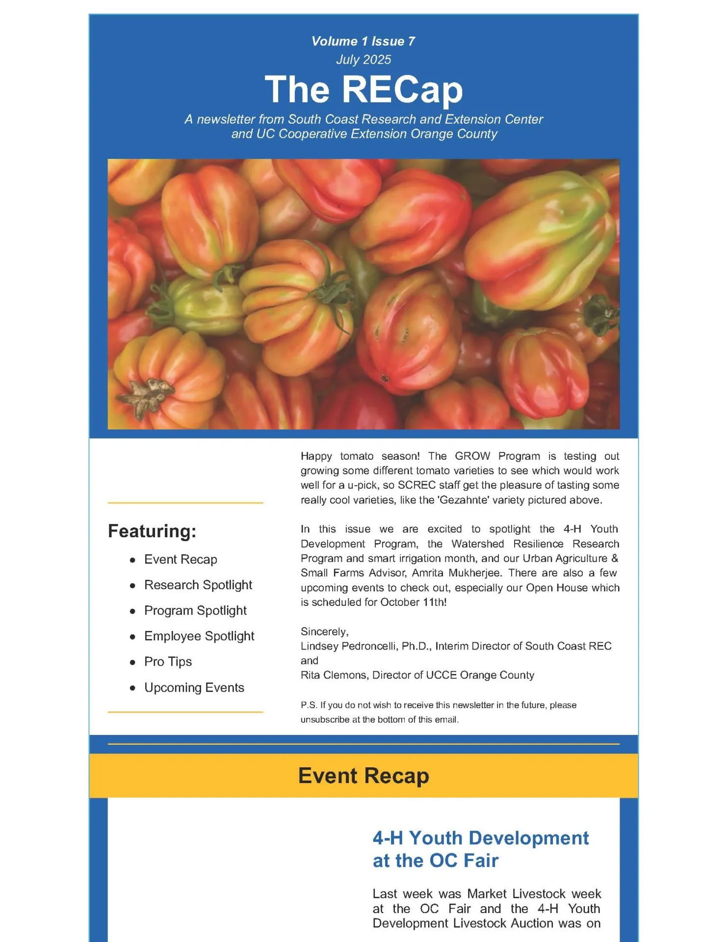 July 2025 Newsletter header