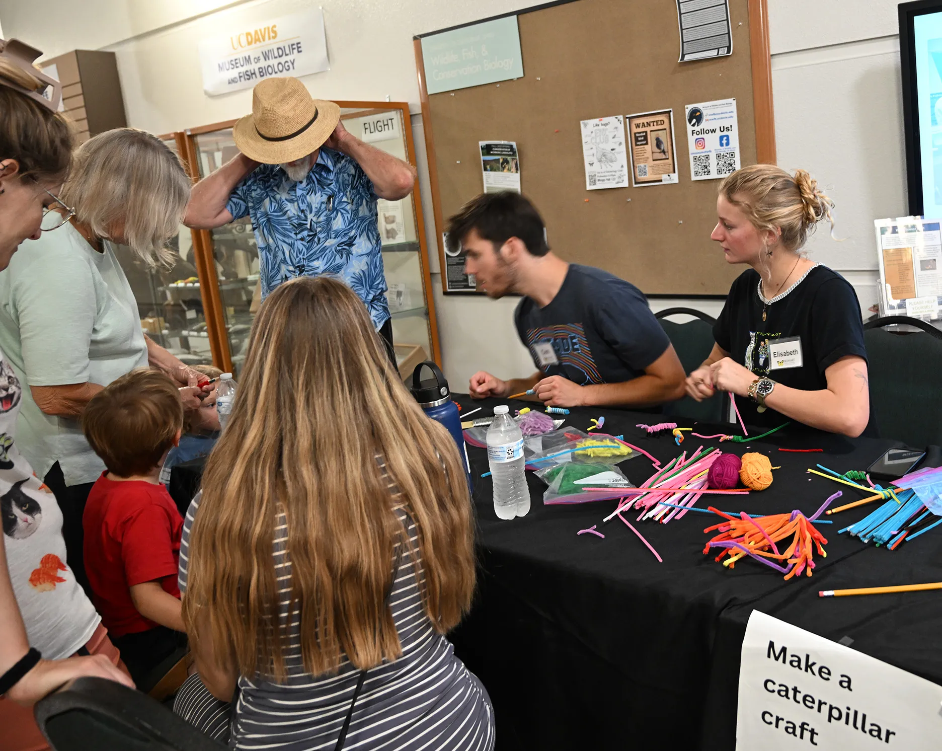 Cameron Cummins and Elisabeth Bond show how to make pipe cleaner caterpillars. (Photo by Kathy Keatley Garvey)
