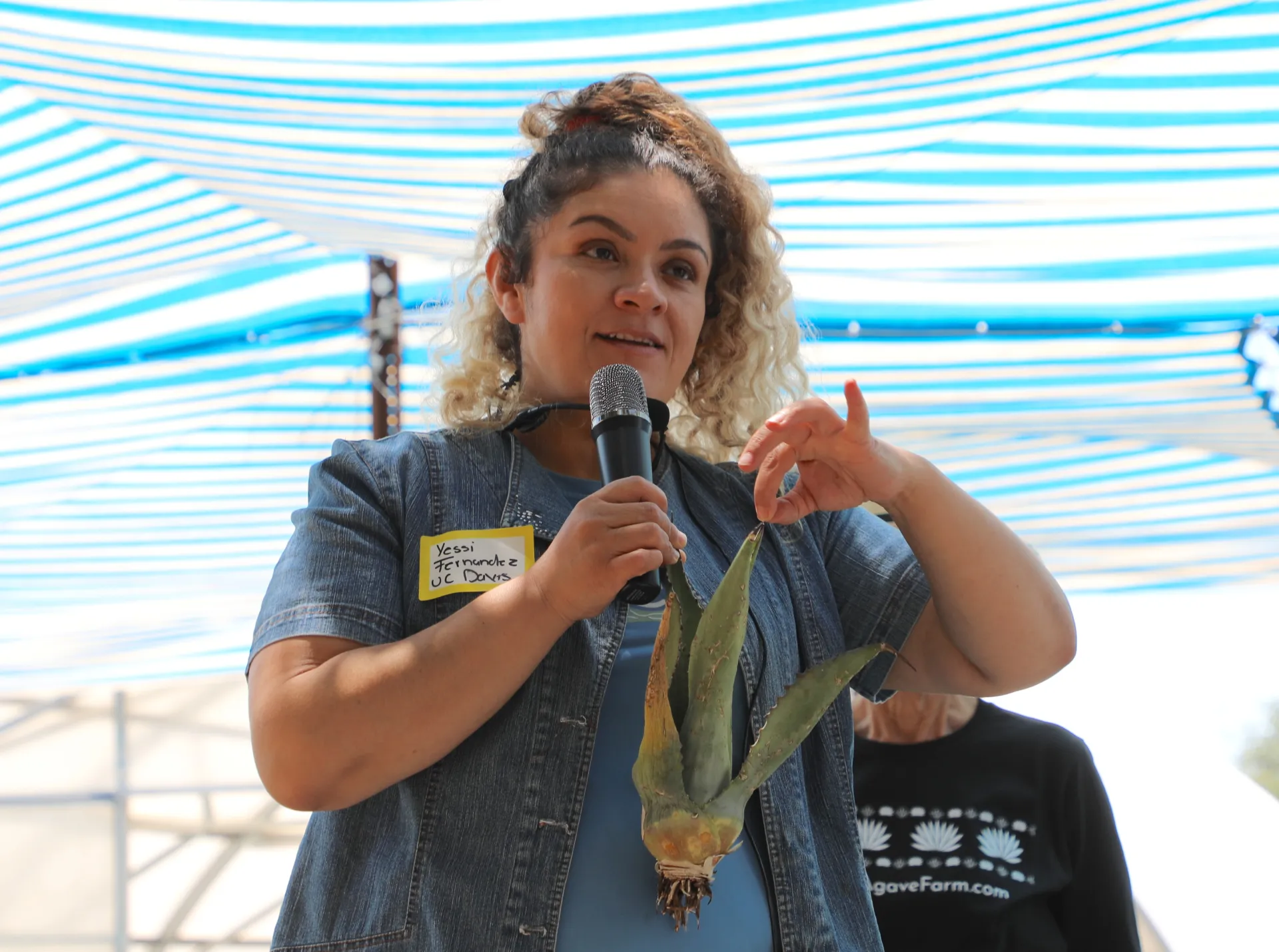 A person holds an agave plant.