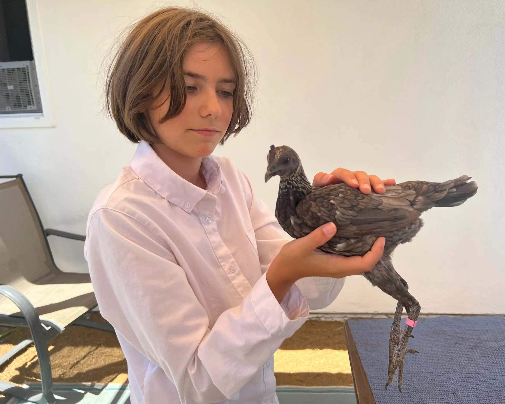 A young person holds a black chicken