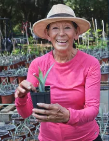 Ofelia Lichtenheld-Agave Producer