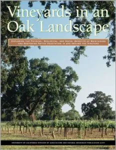 Vineyards in an Oak Landscape