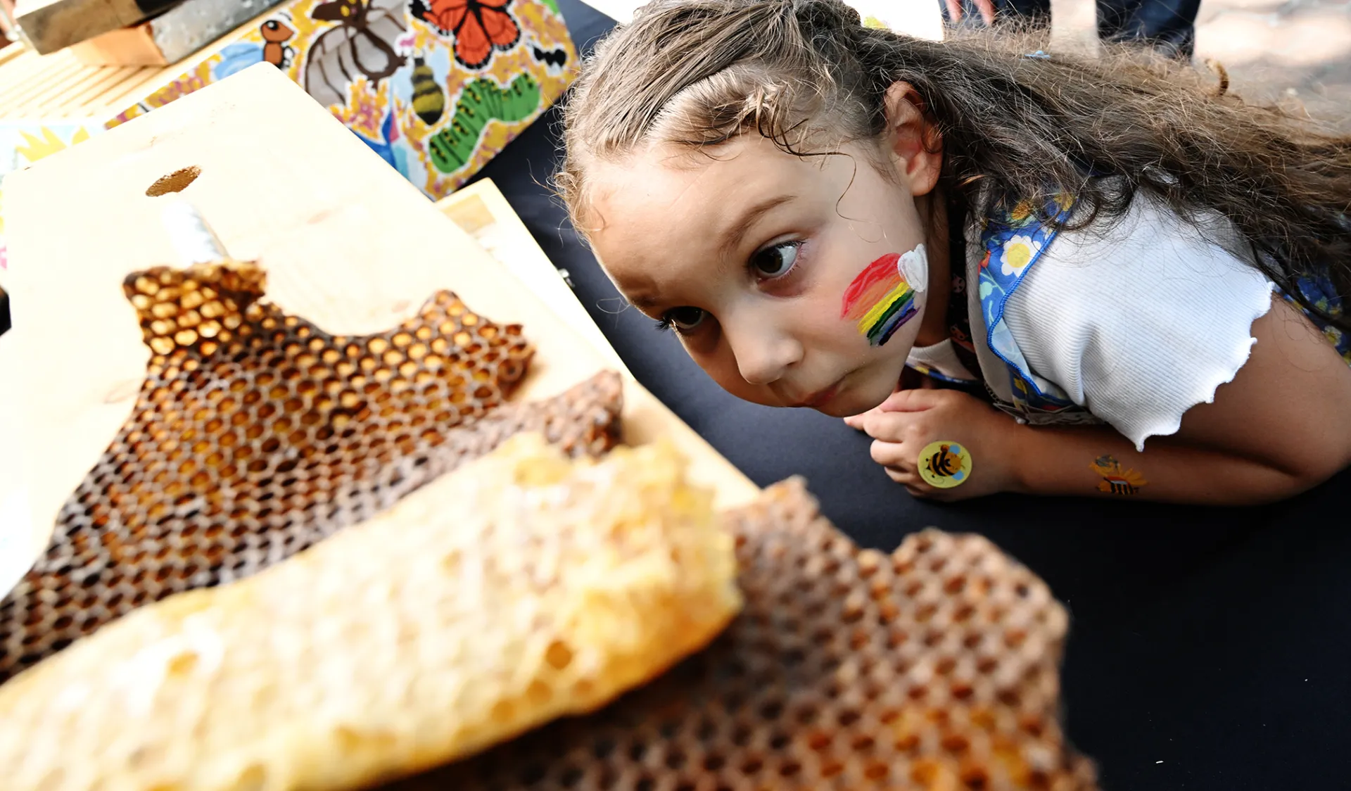 Amelia Vasquez-Fuller, 6, finds the queen. (Photo by Kathy Keatley Garvey)