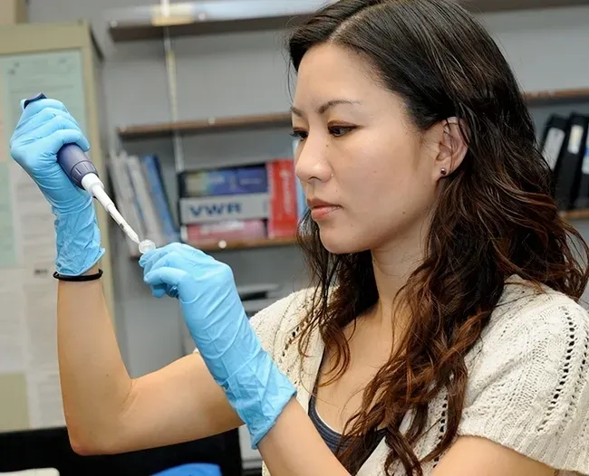 Joanna Chiu in her UC Davis lab in 2010. (Photo by Kathy Keatley Garvey)