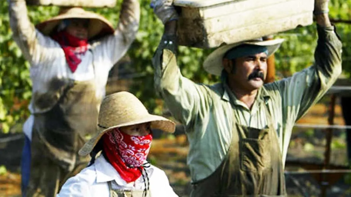 Farmworkers