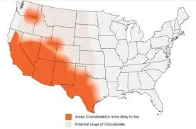 Valley Fever Distribution
