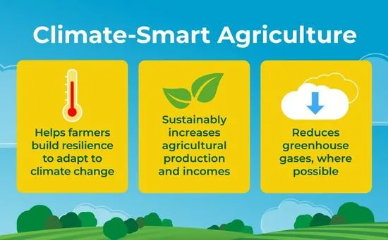 Display image of the effects of a Climate-Smart Agriculture