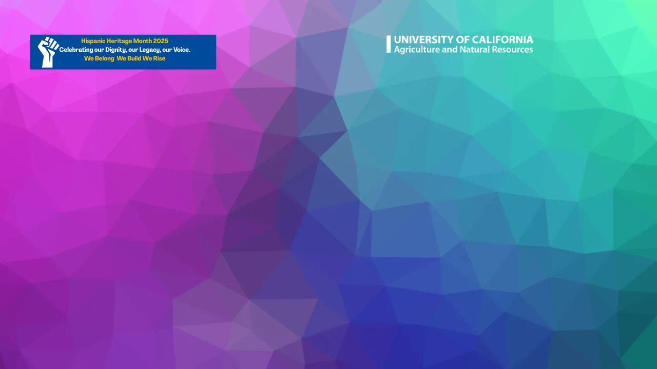 Blue green purple Background HHM zoom