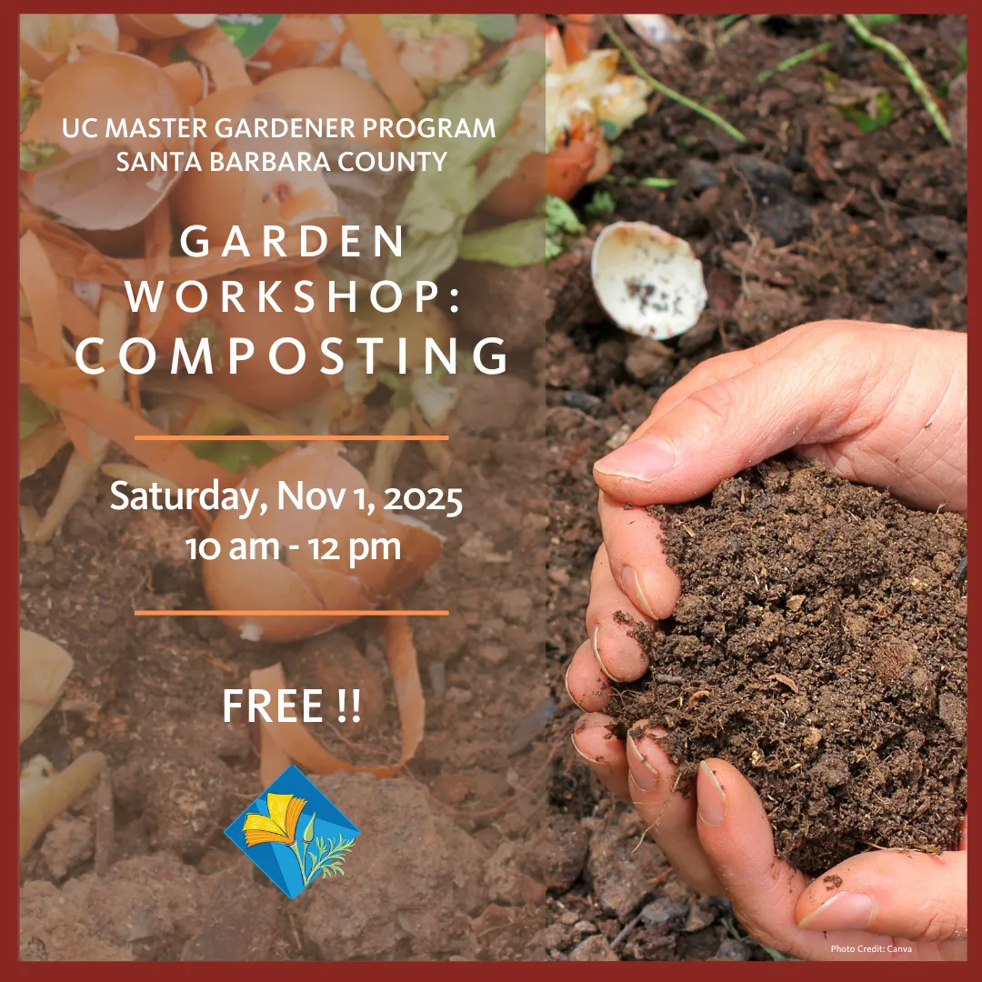 Two hands holding garden soil.
