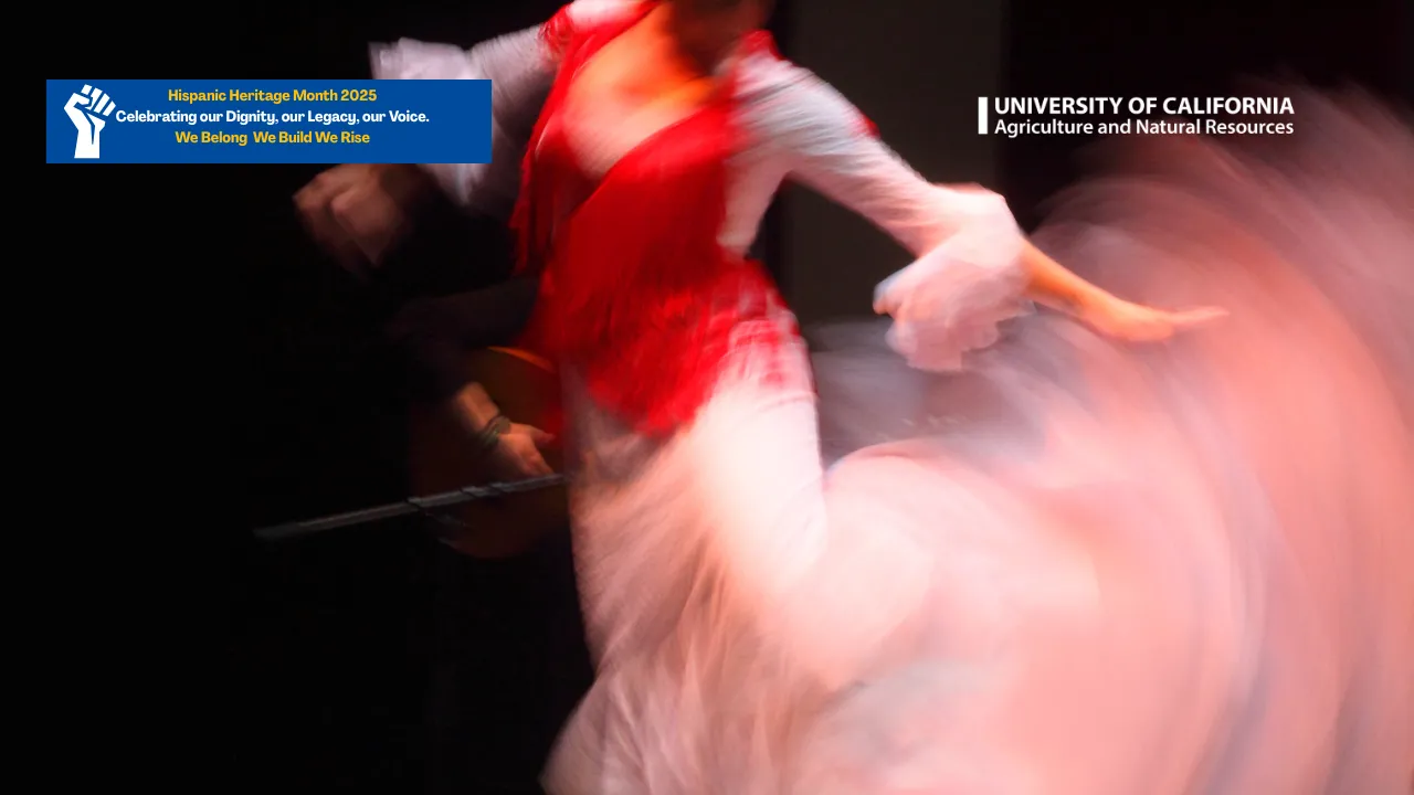 Lady dancing flamenco