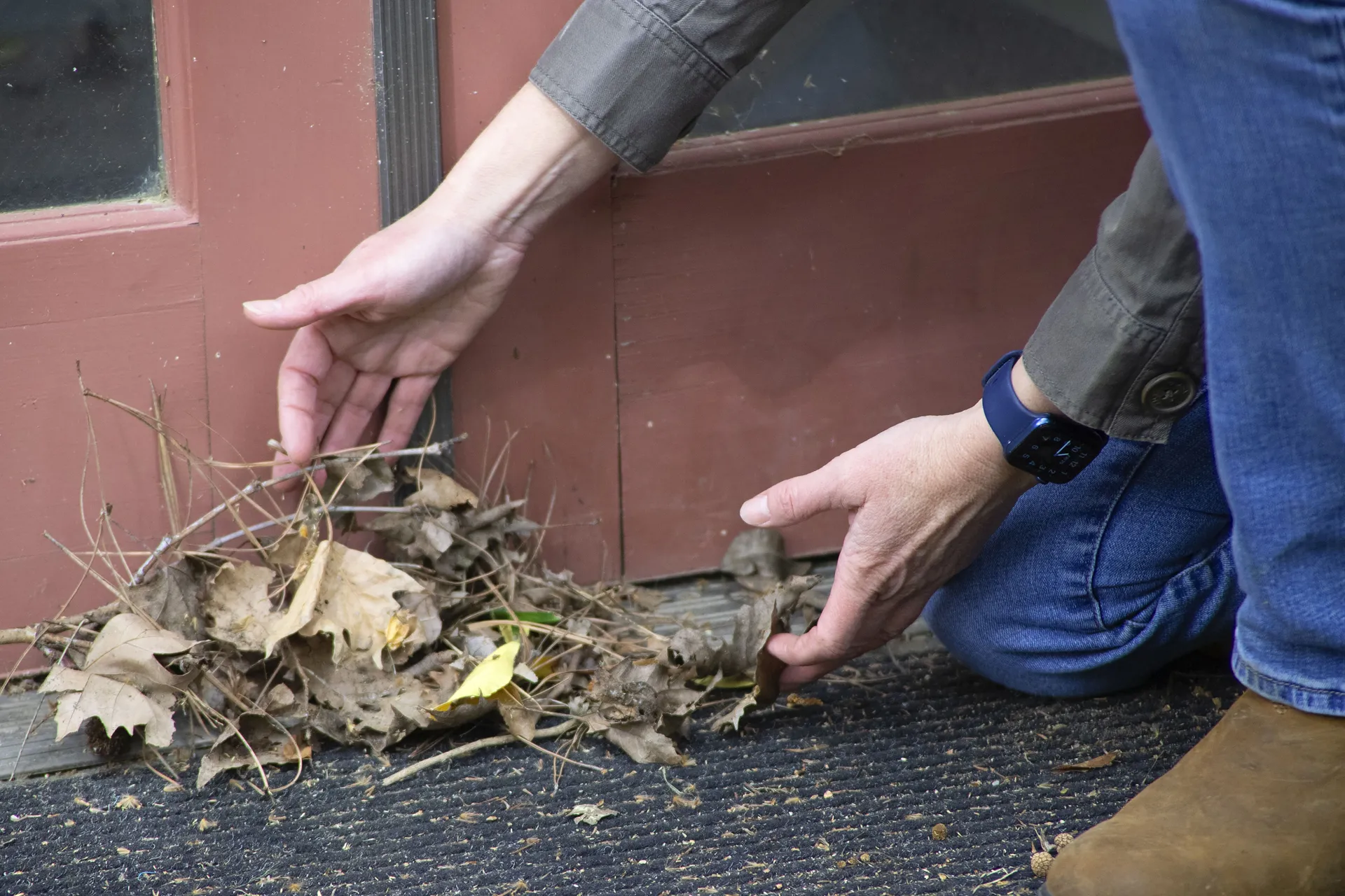 Hands indicate plant debris that should be cleared for home hardening