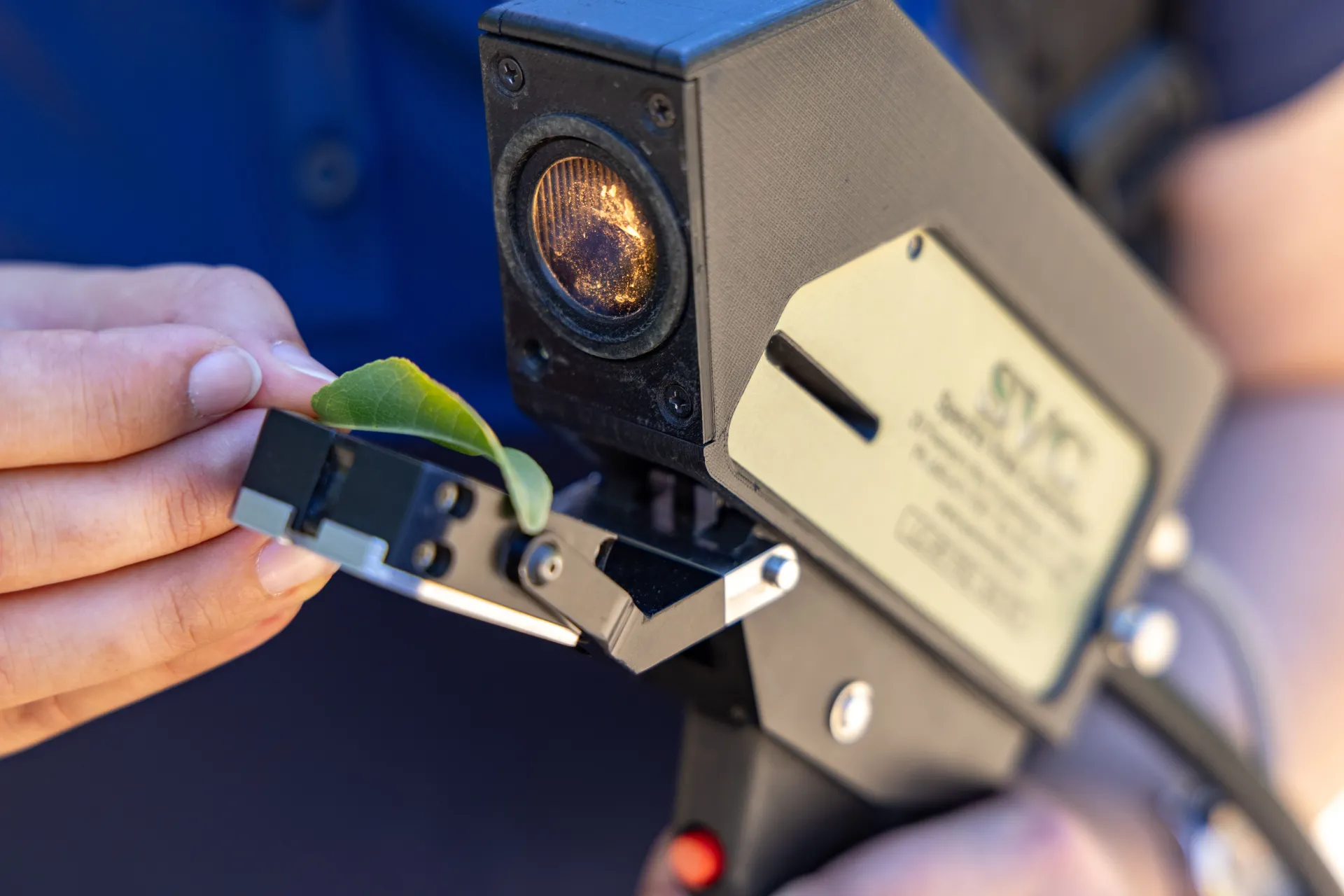 Scientist performs leaf spectrometry