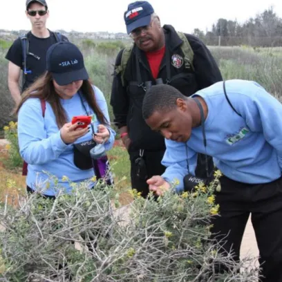 Naturalists observing bladderpod