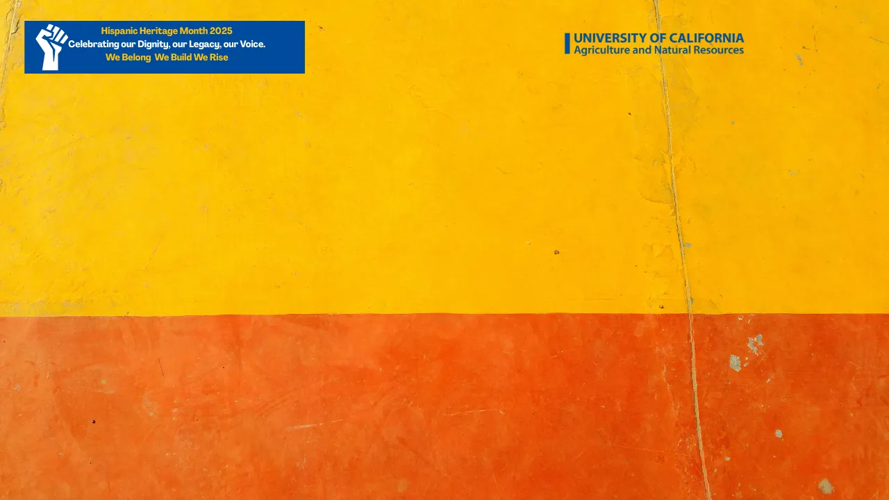 OrangeYellow background-HHM zoom