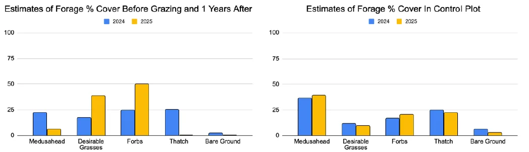 bar graphs indicating % forage cover in test and control plots