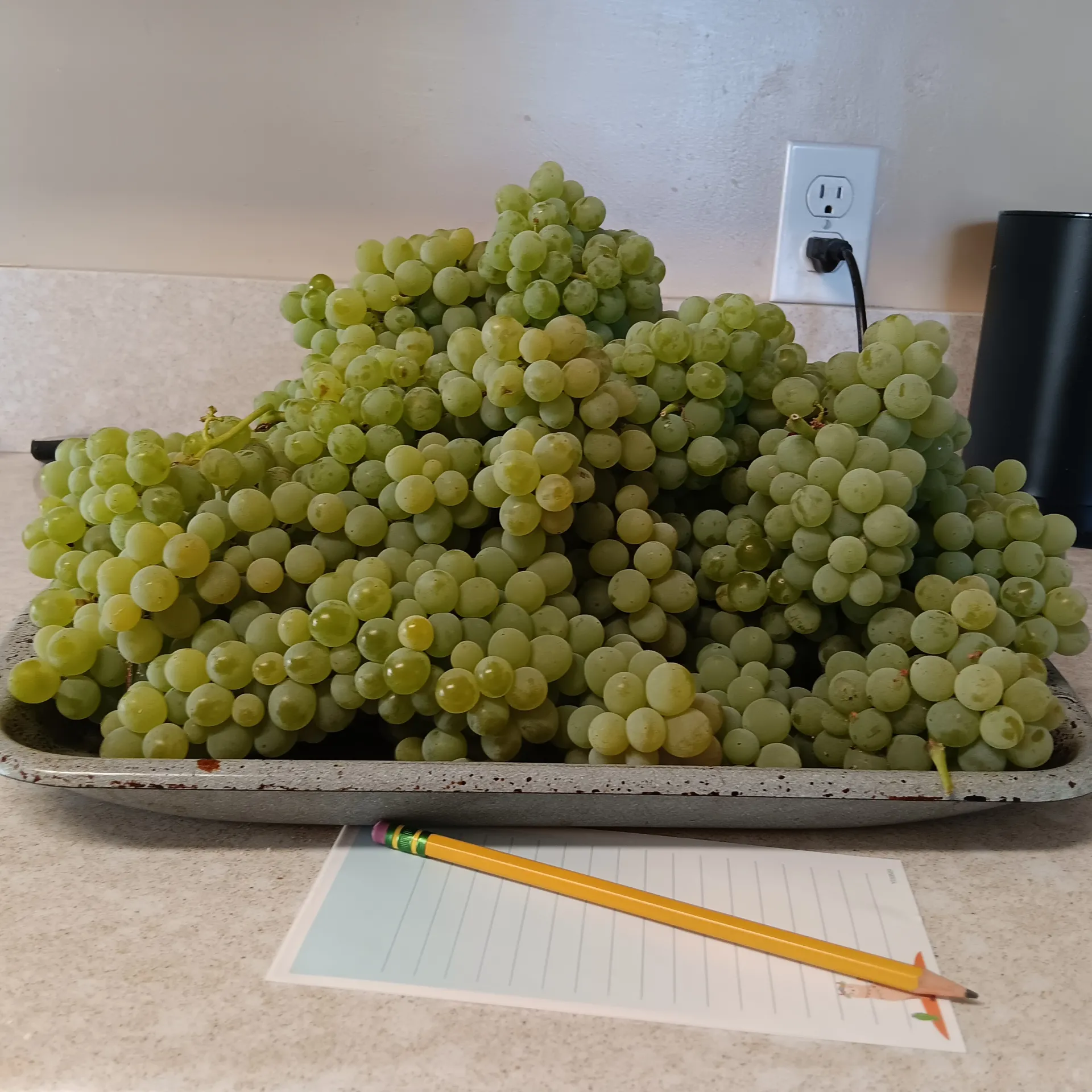 grapes on a tray