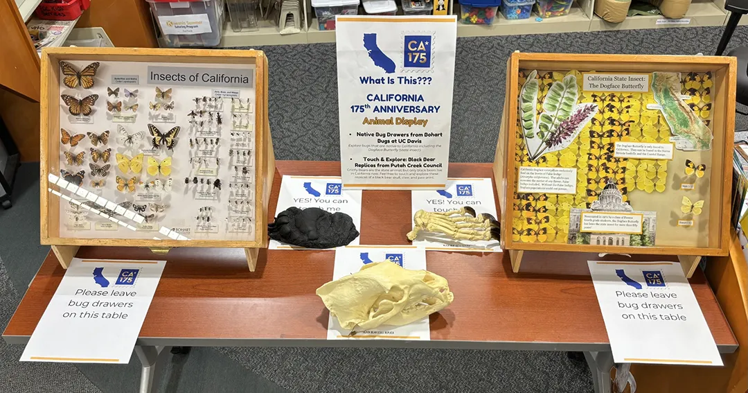 The Bohart Museum of Entomology contributed two insect drawers for the Fairfield Civic Center Library display.