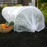 Crop tunnel with bowl of vegetables