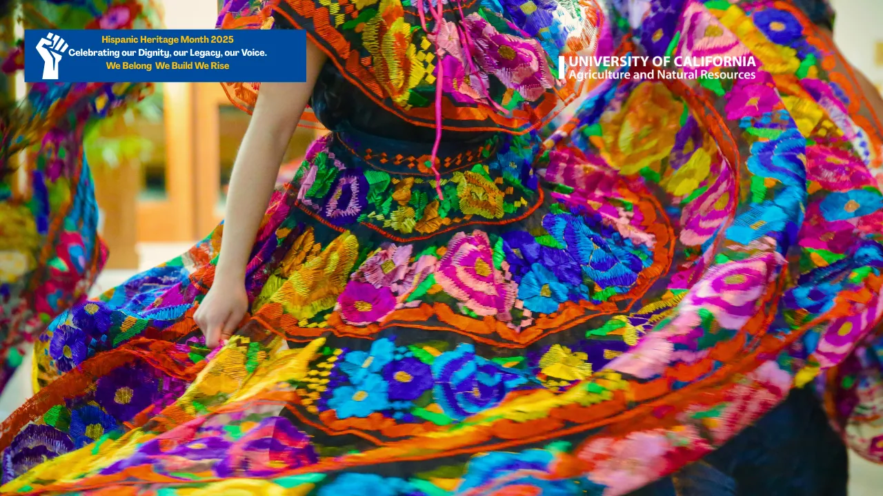 traditional Mexican dresses for women-1