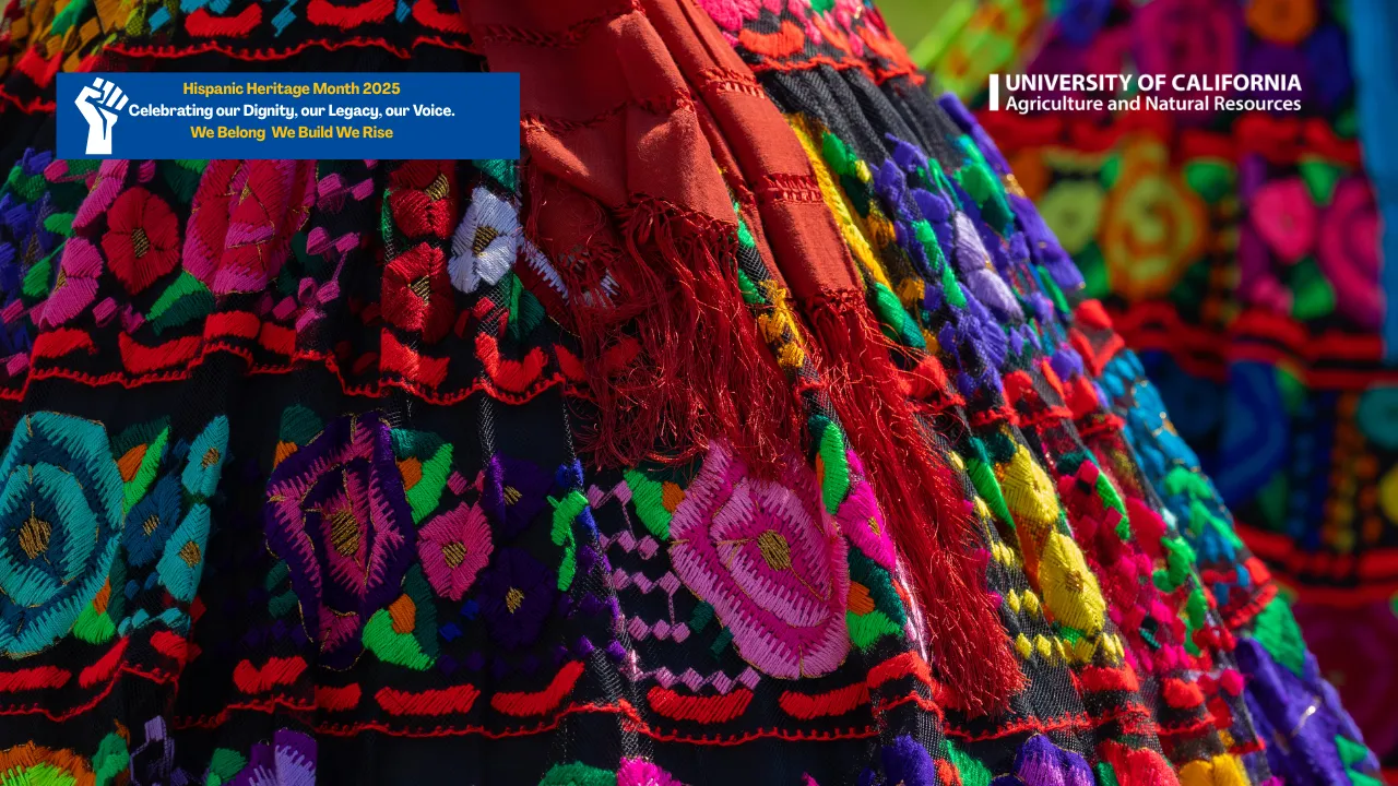 traditional Mexican dresses for women-2