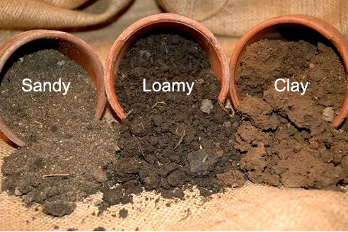 soil types sand silt and clay